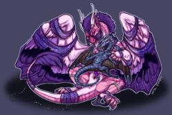 aerial_(artist) anus blue_body claws digitigrade dragon duo female feral feral_on_feral fur furred_dragon horn larger_female leg_band male mane nocturne_dragon penis pink_body purple_eyes pussy size_difference smaller_male straight tail_tuft tassels tuft tundra_dragon wings wrap