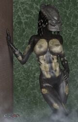 3d 5_fingers big_breasts breasts female female_yautja gloves gunnersteve3d mask muscles nails nude predator_(franchise) pussy solo yautja