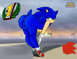 1boy =smile anthro ass backsack balls bent_over big_ass big_butt dat_ass femboy girly gloves half-closed_eyes hedgehog looking_back male mammal nude partially_visible_anus presenting seductive sega shoes sketch smile solo sonic_(series) sonic_team sonic_the_hedgehog sonicharinezumi super_smash_bros. testicles text thick_thighs tiptoes video_games voluptuous wide_hips