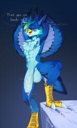 anthro avian avius_volante balls bed big_balls big_penis bird blue_eyes bodily_fluids breath dripping feet furniture genital_fluids genitals hi_res huge_balls huge_cock hyper male panting penis precum precum_drip shiromell simple_background solo talons teasing teasing_viewer toes