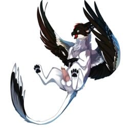 anus avian balls beak black_feathers blue_eyes cum darkumbreon90 feathers feral fur grey_feathers grey_fur gryphon hindpaw knot looking_at_viewer male naoki_wolf open_mouth paws penis solo talons white_feathers wings