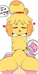 1futa ahegao_face amy_rose animal_crossing anthro anthro_on_anthro balls breasts closed_eyes cowgirl_position crossover dickgirl dickgirl/female edit female furry futa_on_female futa_penetrating futa_pov futa_with_female futanari hair_ornament hearlesssoul heart hearts_around_head isabelle_(animal_crossing) legs_open nintendo nipples nude nude_anthro nude_female nude_futanari penetration penis pink_body pov pov_crotch saliva_drip sega sitting_on_balls sitting_on_lap sitting_on_penis sonic_(series) sonic_the_hedgehog_(series) sweat sweatdrop thigh_boots thighs tongue_out vaginal_penetration vaginal_sex yellow_body