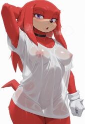 1girls 2025 2025s 2d ai_assisted ai_generated anthro anthro_female anthrofied areola areolae bedroom_eyes belly_button big_breasts black_choker black_nose blush breasts breath breath_cloud breathing choker clothing crossgender detailed_background digital_media_(artwork) echidna echidna_girl echidna_humanoid echidna_tail eyebrows eyelashes female female_anthro female_focus female_only fur furry furry_female furry_only genderswap genderswap_(mtf) gigantic_breasts gloves half-closed_eyes handwear heavy_breathing hi_res high_quality high_resolution highres huge_breasts illustrious_(stable_diffusion) karkinosai knuckles_the_echidna large_breasts looking_at_viewer mammal mobian mobian_(species) monotreme mtf_crossgender narrowed_eyes navel nipples no_humans no_pants open_mouth pony_diffusion_(model) pony_diffusion_xl purple_eyes red_body red_hair red_tail redhair rule63 rule_63 seductive sega self_upload simple_background smile smiling smiling_at_viewer solo solo_female solo_focus sonic_(series) sonic_the_hedgehog_(series) stable_diffusion sweat sweatdrop sweatdrop_on_breasts sweatdrops sweatdrops_on_breasts sweating sweaty_body sweaty_breasts tail tan_body tan_skin thick_breasts thick_thighs thighs tongue translucent translucent_clothing video_games wet wet_body wet_clothes wet_clothing wet_fur wet_shirt white_background white_gloves white_handwear wide_hips