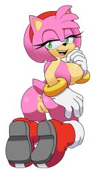 amy rose from sega by leatherruffian