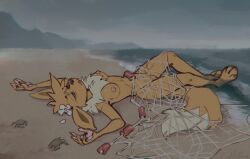 2022 ambient_arthropod ambient_crab ambient_crustacean ambient_sealife anthro beach biped breasts brown_body brown_fur corpse digital_drawing_(artwork) digital_media_(artwork) dipstick_tail drowned eevee elcy english_description female feral fur generation_1_pokemon genitals hand_pawpads humanoid_genitalia humanoid_vulva lying markings nintendo nipples nude nude_anthro nude_female on_back open_mouth pokemon pokemon_(species) pussy seaside solo tail tail_markings vulva