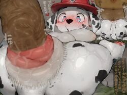 marshall (paw patrol) from paw patrol by syuro