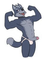 1boy abs anthro biceps black_nose bottomless canine chest_tuft clothed clothing collar erection eye_patch eyewear flexing fur grey_fur grey_hair hair half-dressed hicanyoumooforme jockstrap male male_only mammal muscles nintendo open_mouth pecs penis plain_background poking_out pose purple_eyes smile solo standing star_fox teeth toned tongue tongue_out topless tuft uncut underwear video_games white_background wolf wolf_o'donnell