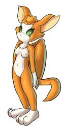 2015 anthro bat breasts dust:_an_elysian_tail female fidget fur goshaag green_eyes mammal membranous_wings navel nimbat nipples nude orange_fur plain_background pussy solo standing video_games white_background white_fur wings