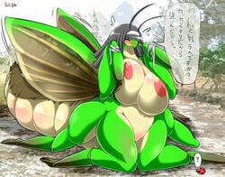 ? abdomen antennae anthro arthropod big_breasts black_hair blush breast_squish breasts chubby closed_eyes female frontal_taur_genitals frontal_taur_pussy hair huge_breasts insect_taur insects japanese_text kneeling ladybug mantis nude outside pussy solo taur text translated wide_hips wings ymbk