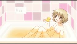 ai_assisted ai_generated bath hidamari_sketch medium_breasts nude_filter rubber_duck teen teen_girl teenage_girl teenager yuno_(hidamari_sketch)