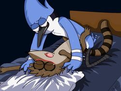 Anal Rule 34 Image