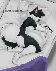 absurd_res anthro ass balls bed bedroom belly big_belly canid canine canis cuddling curled_tail domestic_dog endosoma eyewear fluffy furniture genitals glasses gurglegluts hand_on_belly hand_print hi_res holding_belly husky male male_pred mammal nate_(natethehusky) neck_tuft nordic_sled_dog nude paws safe_vore same_size_vore sleeping solo spitz stomach_bulge tail tuft vore