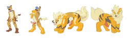 1boy animal_genitalia anthro arcanine balloon balls canine canine_penis claws erection feral humanoid_penis larvitar_(artist) male male_only mammal nintendo open_mouth penis plain_background pokemon pokemon_(species) solo tongue tongue_out transformation video_games white_background