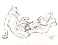 2014 anthro balls big_balls canine chewtoy cock_transformation conjoined female fusion hyper hyper_balls male mammal merged paws pen_(artwork) penis penis_transformation rugertaur taur traditional_media_(artwork) transformation what wolf