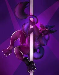 absurd_res animal_genitalia anthro black_fur blush clothing collar fangs fishnet fur furry furry_only g-string hi_res legwear looking_at_viewer lootz male male_only mariosson no_humans penis pole_dancing purple_background purple_fur purple_penis purple_theme sergal solo tongue tongue_out underwear