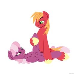 big_macintosh_(mlp) cheerilee_(mlp) duo earth_pony equine female freckles friendship_is_magic hair horse hoverrover male mammal my_little_pony penetration penis pony pussy sex smile straight vaginal_penetration