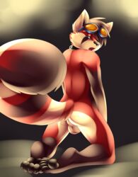 1boy 2014 5_toes anthro balls blue_eyes collar eyewear fur goggles male male_only mammal open_mouth red_fur red_panda solo toes wwaxyy