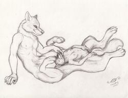 2014 anthro breasts canine chewtoy cock_transformation conjoined duo female fusion happy male mammal merge paws pen_(artwork) penis penis_transformation pussy rugertaur small_breasts taur traditional_media_(artwork) transformation what wolf