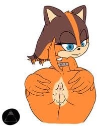 2014 alpha_channel anthro anus ass badger bluelimelight female looking_at_viewer mammal mustelid nude pussy sega smile solo sonic_(series) sonic_boom sticks_the_badger sticks_the_jungle_badger sticks_the_tejon