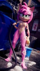amy rose from sega by ganondork