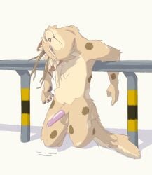 4_toes 5_fingers anthro black_nose black_pawpads bodily_fluids broken_neck brown_body brown_eyes brown_fur brown_spots chuchochi cum death feet fingers fur genital_fluids genitals hi_res inner_ear_fluff male male_death male_ryona neck_snap pawpads penis pink_penis solo spots tail toes tuft