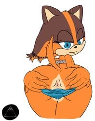 2014 alpha_channel anthro anus ass badger bluelimelight clothing female looking_at_viewer mammal mustelid sega smile solo sonic_(series) sonic_boom sticks sticks_the_badger sticks_the_jungle_badger sticks_the_tejon underwear