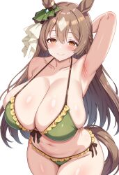 satono diamond (umamusume) from umamusume
