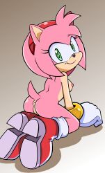 amy rose from sega by randomguy999