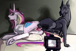 2014 alicorn anatomically_correct anatomically_correct_penis animal_genitalia ass balls camera canine canine canine_penis cum cum_in_pussy cum_inside cutie_mark duo equine erection female feral feral_on_feral friendship_is_magic great_dane hair horn interspecies knot lostdragon01 lying male mammal multicolored_hair my_little_pony nude open_mouth orgasm penetration penis princess_cadance_(mlp) pussy quadruped sex shocked straight unicorn vaginal_penetration vaginal_penetration wings