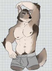 1boy 2024 abs anthro arm_hair arm_tuft armpit_hair armpit_sniffing balls_outline beard bedroom_eyes biped black_nose body_hair boxers_(clothing) boxers_only brown_body brown_eyebrows brown_fur brown_hair bulge canid canine canis checkered checkered_background clothed clothing clothing_pull coyote detailed_bulge digital_drawing_(artwork) digital_media_(artwork) echo_(series) echo_project elbow_tuft eyebrows facial_hair fur genital_outline grey_boxers grey_clothing grey_underwear hair happy_trail hi_res inner_ear_fluff male male_anthro male_only mammal multicolored_body muscular muscular_anthro muscular_male narrowed_eyes navel partially_clothed partially_clothed_male pattern_background pecs penis_outline portrait pubes raised_arm raised_eyebrow seductive simple_background sniffing solo standing tan_body tan_fur tan_inner_ear tan_inner_ear_fluff the_smoke_room three-quarter_portrait topless tuft underwear underwear_only underwear_pull unsafescapewolf whiskers white_background william_adler yellow_eyes