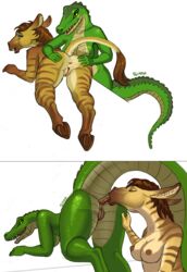 2014 alligator anal anthro ass donkey duo equine female furry grin hooves hybrid interspecies licking mammal nude oral plain_background predator/prey presenting reptile rimming scalie sex siyah spreading teeth thick_tail tongue tongue_out yuri zebra