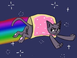 2014 anus black_nose eyelashes feline female feral flying fur grey_fur mammal meme nyan_cat pawpads paws pink_pawpads pussy quadruped rainbow solo space toaster_pastry wasajoke