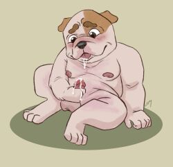 absurd_res anthro balls belly biscuit_(sambles) blush blush_lines bodily_fluids brown_markings bulldog canid canine canis cum domestic_dog drooling erection genital_fluids genitals hi_res leaking_cum leaking_precum male mammal markings mastiff masturbation molosser nipples overweight overweight_male precum saliva sambles shy simple_background sitting slightly_chubby slightly_chubby_male solo tongue tongue_out white_body