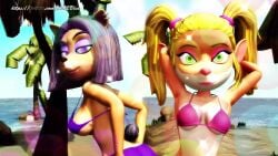 3d animated anthro ass ass_focus bandicoot beach bikini black_hair blonde_hair breasts crash_(series) furry liz_bandicoot mp4 navel nitro_squad no_sound ocean pasadena_o&#039;possum tagme tail_tuft video virtualblueam2 water