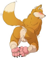 1boy anthro anus ass backsack balls blush canine fox fox_mccloud male male_only mammal nintendo presenting presenting_hindquarters skaifox solo star_fox video_games