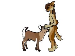 4:3 alpha_channel anthro anthro_on_feral belly_nipples biped brown_body brown_face brown_fur brown_hair brown_nipples brown_penis brown_tail canid canine canis cervine deer digitigrade domestic_dog duo emergencyweasel_(artist) erection feral fur genitals german_shepherd hair herding_dog lase_(character) male male/male mammal multicolored_body new_world_deer nipples nude pastoral_dog penis penis_in_mouth quadruped simple_background standing tail transparent_background white-tailed_deer zoophilia