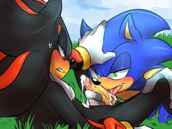 shadow the hedgehog from sega by soina