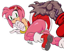 amy_rose anatomically_correct anatomically_correct_penis ass echidna female gloves green_eyes hairband hedgehog josemalvado knuckles_the_echidna male mammal monotreme penis pussy sega skirt solo_focus sonic_(series) thick_thighs upskirt