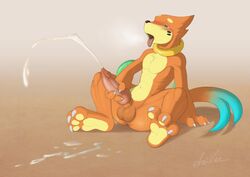 buizel from nintendo by dreiker