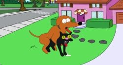 black_body canine digital_media_(artwork) domestic_cat domestic_dog feline feral feral_on_feral feral_penetrated fur hair hi_res interspecies mammal rape saltystupidfish santa's_little_helper sex snowball_(the_simpsons) sound tagme tail the_simpsons tongue video