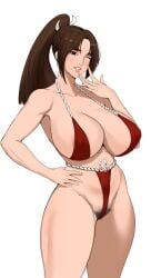 big_breasts bikini breasts busty fatal_fury female jnsd jnsdh king_of_fighters large_breasts mai_shiranui pubic_hair snk thick_thighs