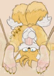 absurd_res anthro ass autofellatio balls big_balls big_penis blue_eyes bodily_fluids bondage bound canid canine claws de_volt embarrassed eye_roll feet fluffy_balls foot_fetish foot_focus fox fur genital_fluids genitals hi_res huge_balls legs_tied male mammal masturbation musk musk_clouds nude oral oral_masturbation paws penile penile_masturbation penis rope sega sketch soles solo solo_focus sonic_(series) sonic_the_hedgehog_(series) spread_legs spreading submissive submissive_male sweaty_ass sweaty_body sweaty_feet sweaty_legs sweaty_toes tail tails tails_the_fox toe_claws yellow_body yellow_fur