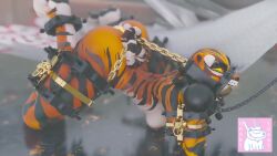 16:9 3d_(artwork) abs animated anthro ass athletic athletic_female ball_gag big_ball_gag big_breasts bitchsuit bodily_fluids bondage bondage bondage_gear bound breasts countershading digital_media_(artwork) dreamworks feet felid female flexible gag gagged genitals ghostoast hair kung_fu_panda lord_shen mammal master_tigress nipples nude oversized_ball_gag pantherine pawpads paws pussy slave soles solo spread_legs spreading tagme tiger toes video widescreen