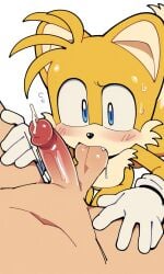 2_tails 2boys 2d aged_up ai_assisted ai_generated biting_balls blush cum fellatio fox gay human_on_anthro male_only miles_tails_prower pov sega sonic_(series) sonic_the_hedgehog_(series) tails_the_fox yaoi young
