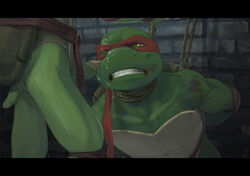 amber_eyes anthro belt biceps blood bondage bound brothers clenched_teeth cum cum_on_face duo erection furry furry_only gay green_penis green_skin incest leonardo male mask muscles mutant ninja one_eye_closed orgasm pads pecs penis raphael reptile rope scales scalie sibling sneefee standing teenage_mutant_ninja_turtles teeth turtle wounded