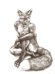 1boy 2014 anthro balls canine claws convenient_censoring fox fur furry kenket looking_at_viewer male male_only mammal monochrome nude paws sitting smile solo