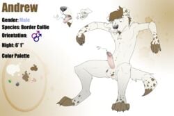 1boy anthro balls border_collie canine dog dragondrawer ear_piercing erection fur furry genital_piercing male male_only mammal model_sheet penis penis_piercing piercing solo tongue tongue_piercing