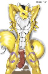 1boy 2014 abs anthro balls bandai biceps big_penis blush canine cum cum_everywhere digimon dog_tags fur huge_cock jamie_lamont knot male male_only mammal mechogama messy muscles nude pecs penis renamon solo toned vein