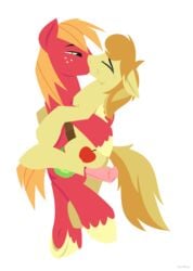 2014 animal_genitalia big_macintosh_(mlp) braeburn_(mlp) closed_eyes cutie_mark duo erection flared_penis french_kiss friendship_is_magic furry furry_only gay horsecock hoverrover incest kissing love male my_little_pony penis