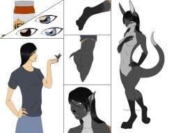 2016 anthro areola ass biped black_body black_fur black_hair black_markings black_nose blue_eyes brown_eyes close-up clothed clothed_female clothed_human clothing colored comic countershade_face countershade_fur countershade_neck countershade_torso countershading digitigrade dipstick_tail ear_growth female forefox front_view fur genitals gloves_(marking) grey_body grey_fur growth hair human human_to_anthro leg_markings looking_at_own_hand looking_down_at_self mammal markings mustelid navel nipples nude nude_anthro nude_female otter pill_bottle pussy rear_view shirt simple_background smile socks_(marking) solo species_transformation standing t-shirt tail tail_growth tail_markings theeldertrinity topwear transformation transformation_sequence white_background white_body white_countershading white_fur